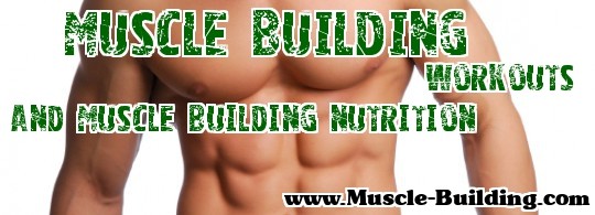 muscle building workouts and nutrition